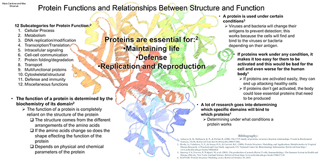 Protein Folding & Structure Prediction Posters