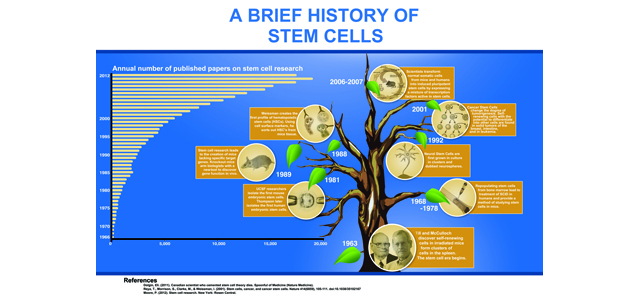 Stem Cell Posters