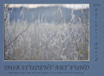 2015 Student Art Fund Purchase Award