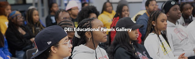 DEI: Educational Panels Gallery