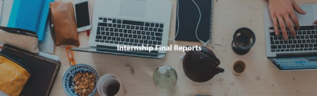 2020 Internship: Final Reports