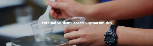 External Student Research Opportunities