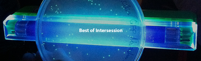 Best of Intersession