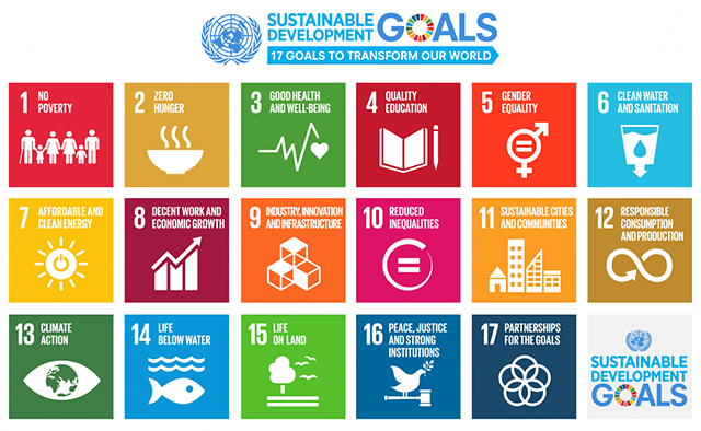 UN Sustainable Development Goals Infographics
