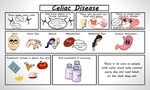 Celiac Disease by Katerina Anders