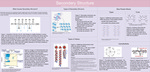 Poster 3: Secondary Structure