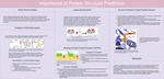 Poster 7: Importance of Protein Structure Prediction