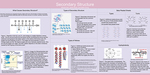 Poster 3 Secondary Structure by IMSA