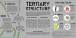 Poster 4 Tertiary Structure by IMSA