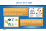 10: Cancer STEM Cells by Akram M. Khaja '13