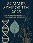 IMSA Summer Symposium 2025